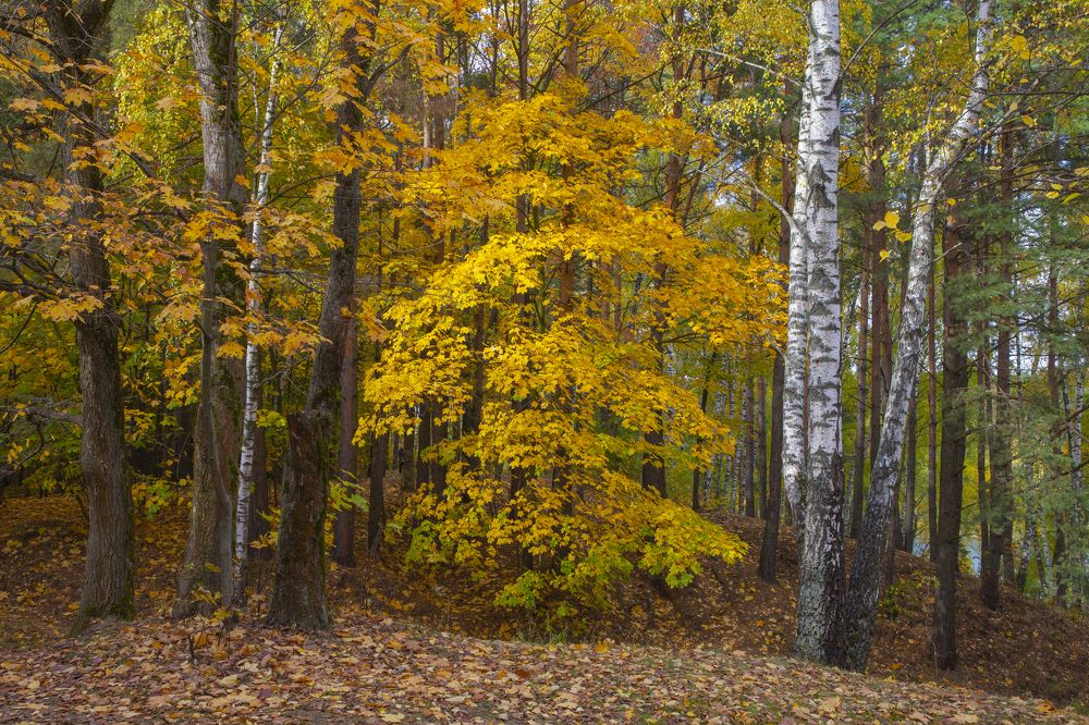 Photograph by Александр Спиридонов