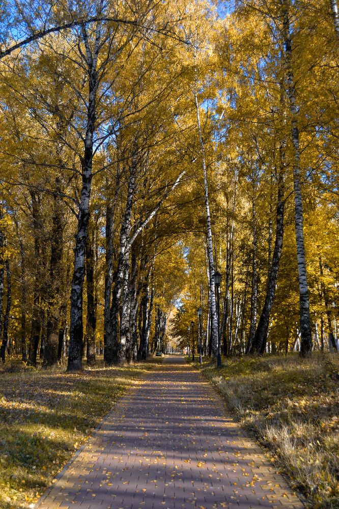 Photograph by Евгения Серебрякова