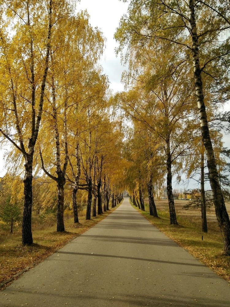 Photograph by Оксана Бурцева