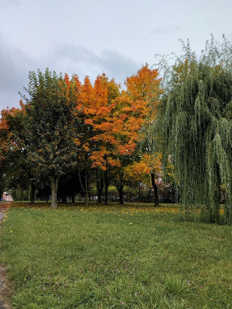 Photograph by Оксана Бурцева