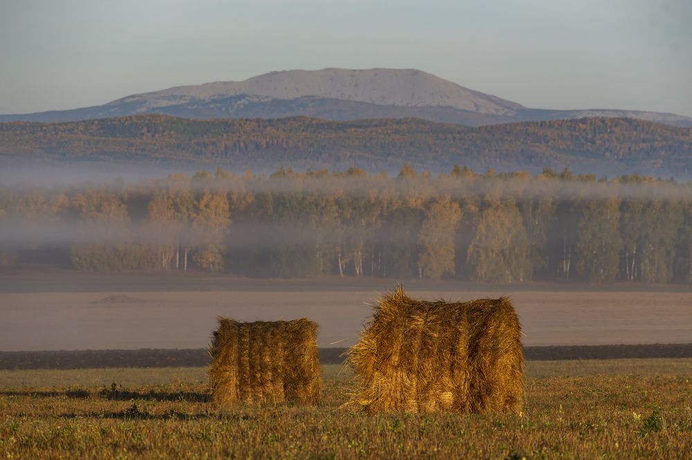 Photograph by Ильгиз Таипов