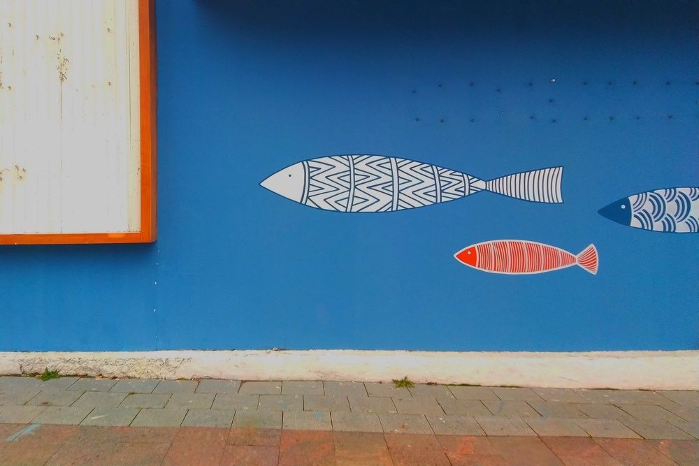 Photograph by Анна Матецкая