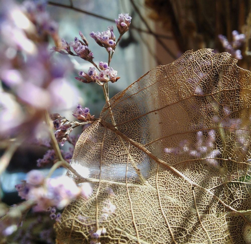 Photograph by Анна Матецкая