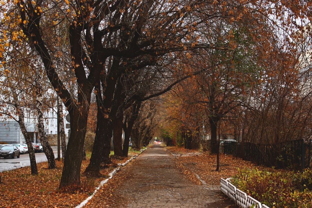 Photograph by Элина Ларченкова