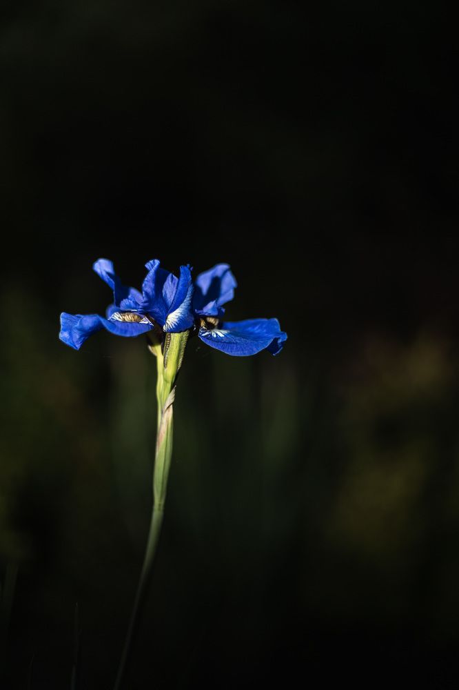 Photograph by Мария Федорова