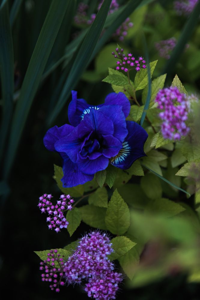 Photograph by Мария Федорова