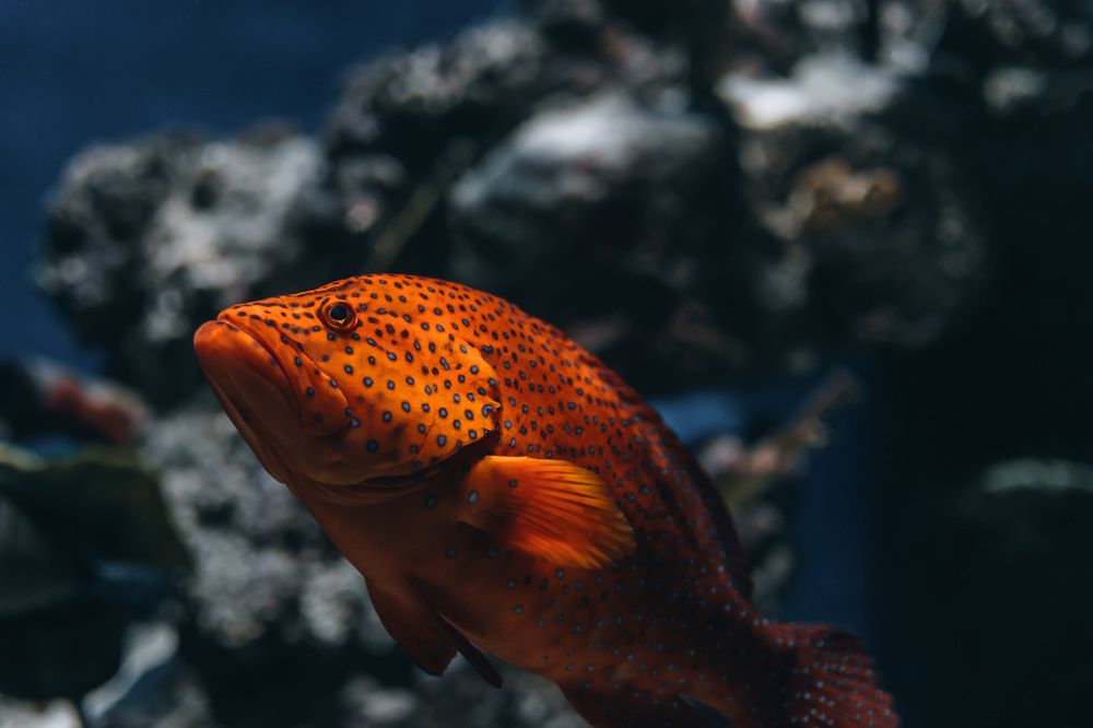 Photograph by Ярослав Саватейкин