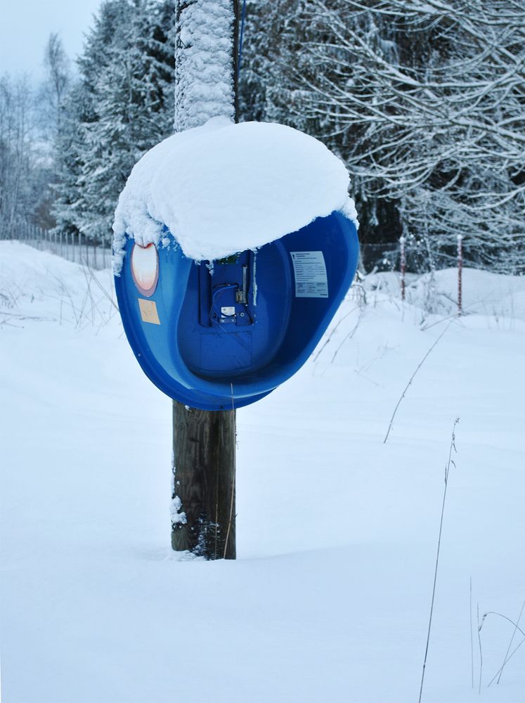 Photograph by Алексей