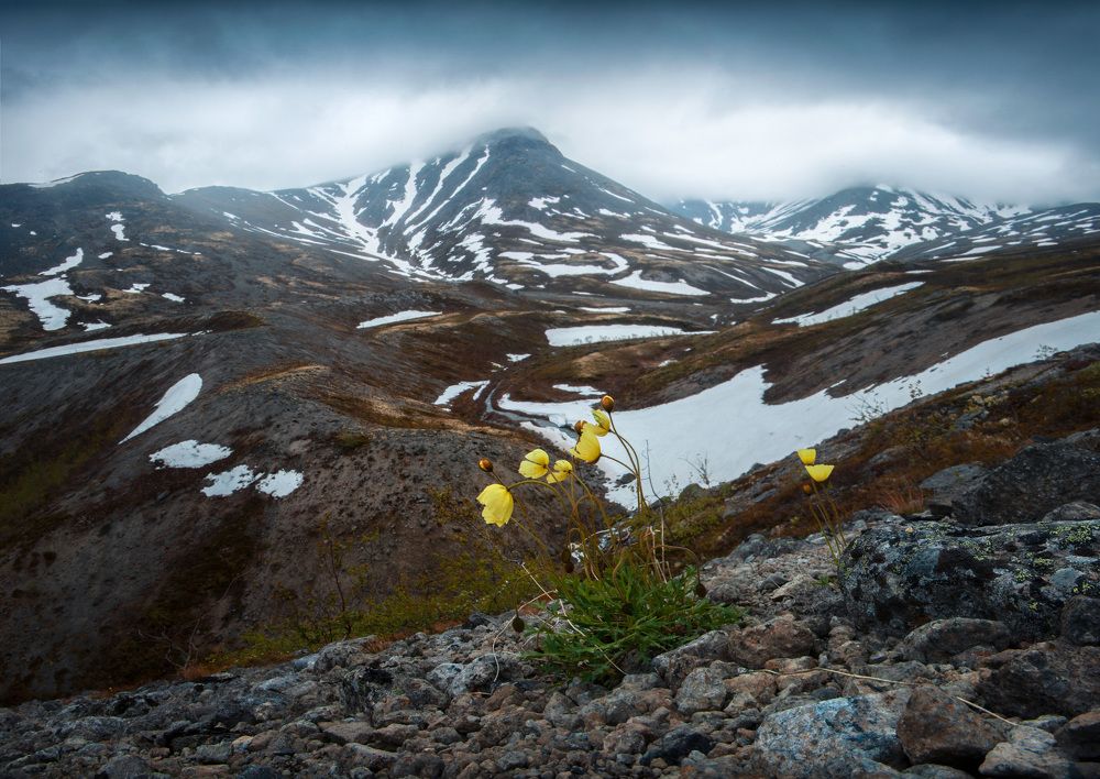 Photograph by Евгения Ботова