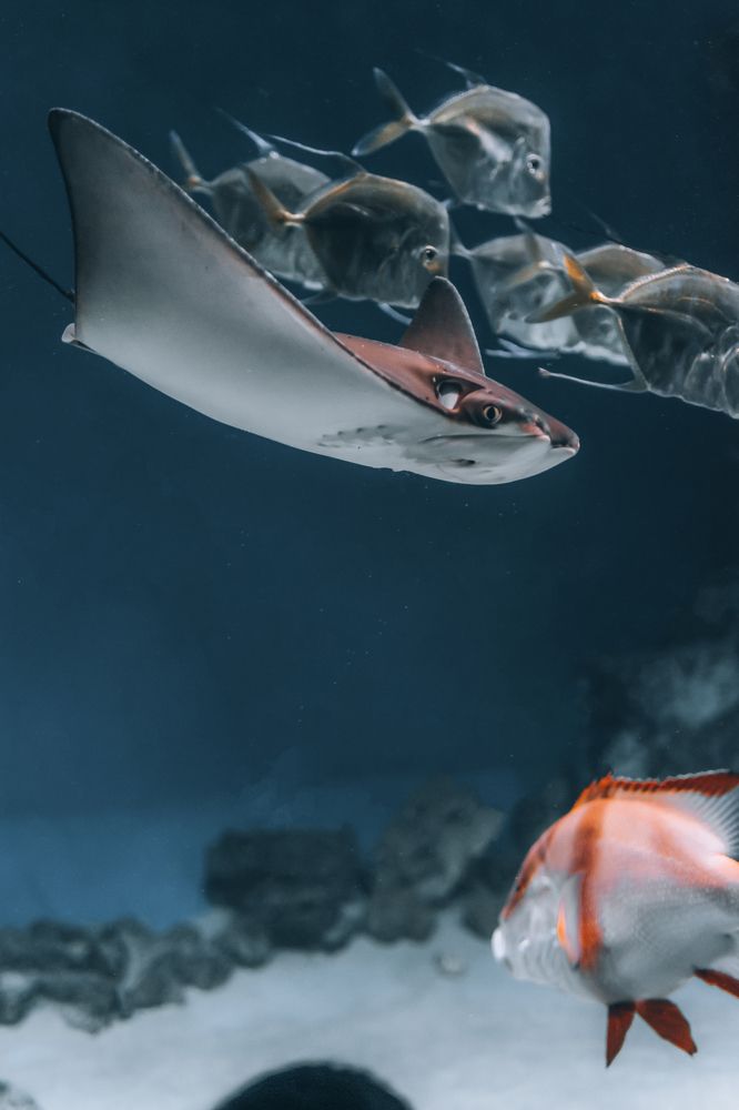 Photograph by Ярослав Саватейкин