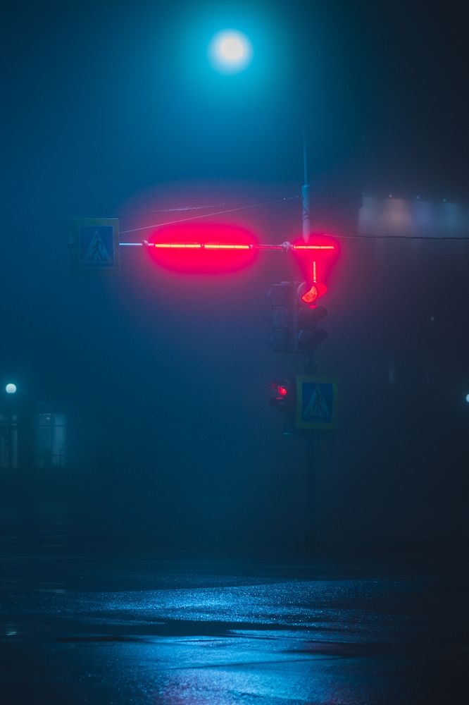 Photograph by Дмитрий Шавловский