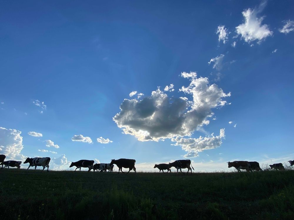 Photograph by Анна Бобкова