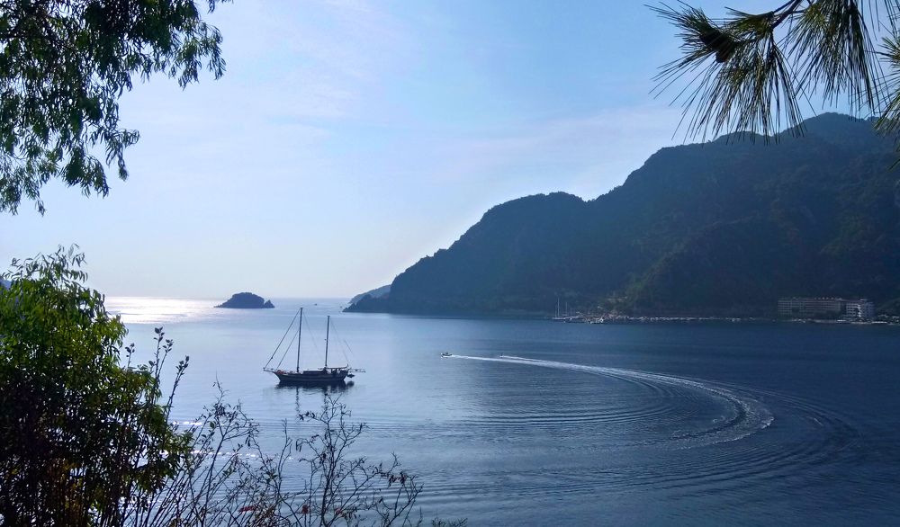 Photograph by Омильянчук Анна