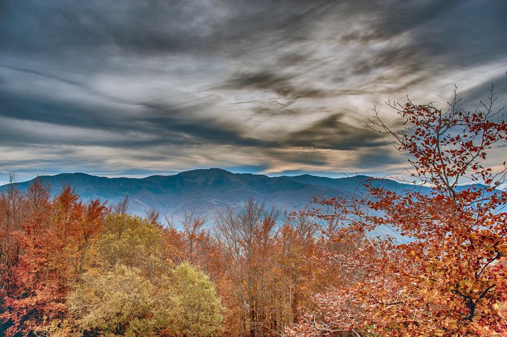 Photograph by Adriano Cascio