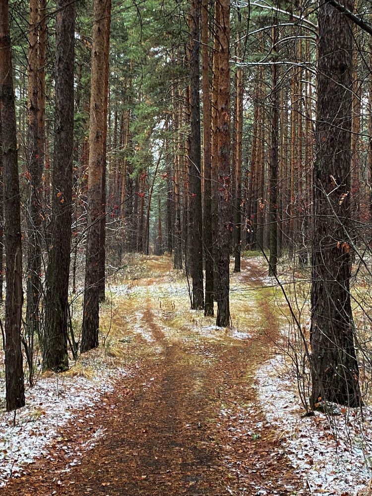 Photograph by Вера Романова