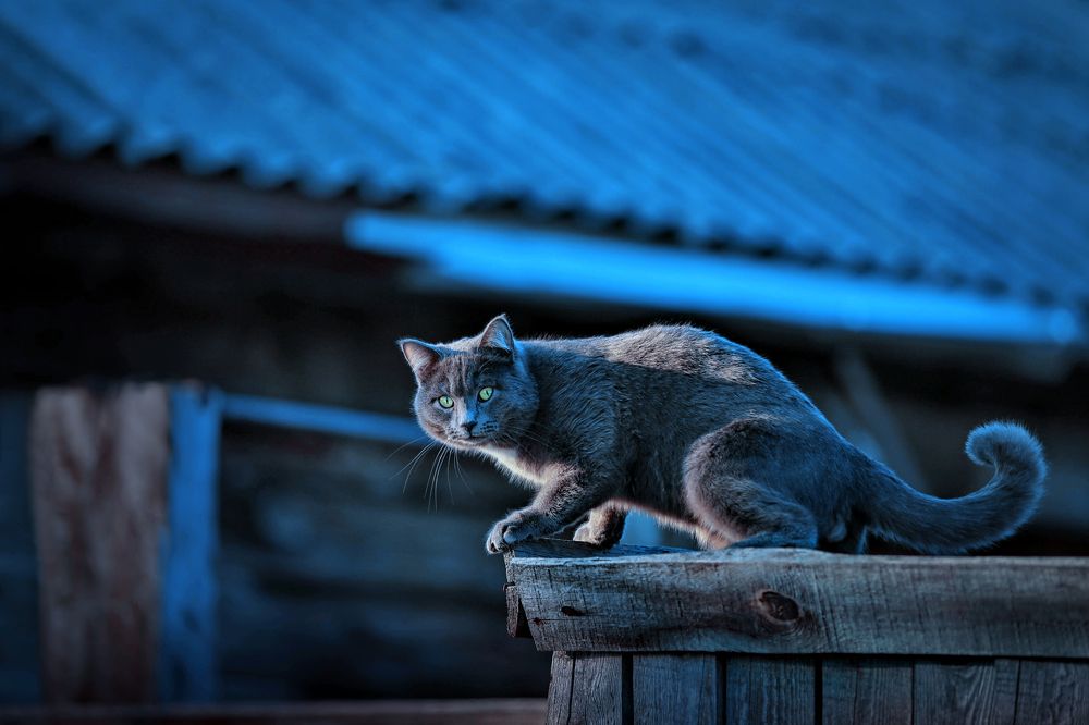 Photograph by Аркадий Ишимов