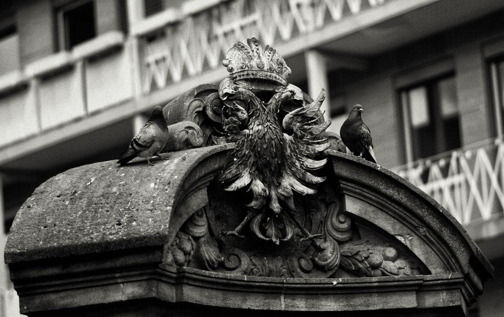 Photograph by Дарья Дмитриева
