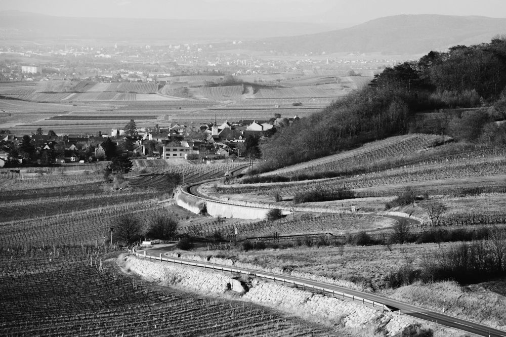 Photograph by Yuri Merkulov