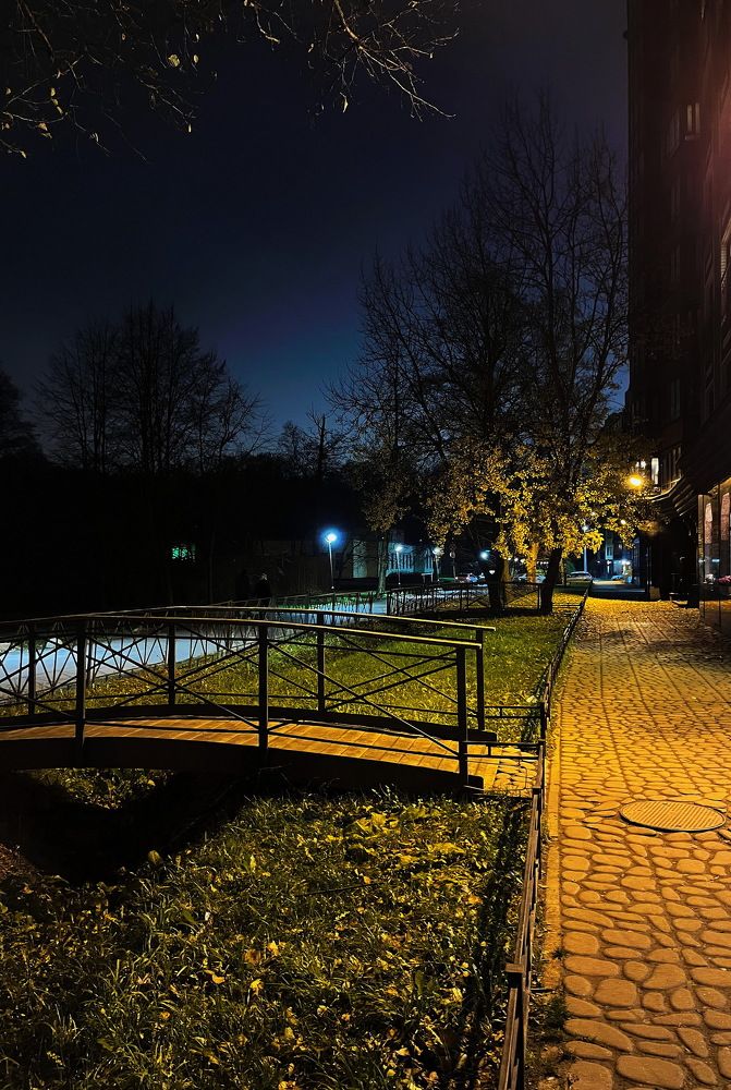 Мостик в Удельный парк...!