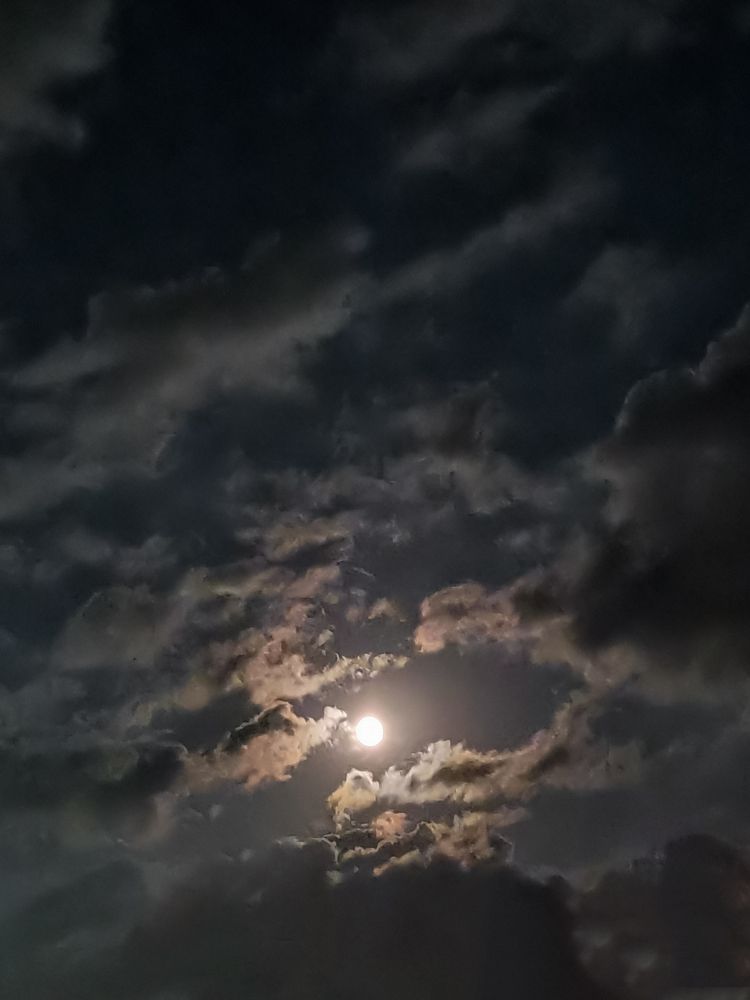 Photograph by Алёна Красова