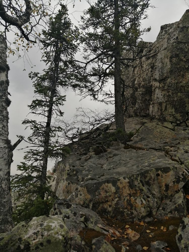 Photograph by Арина