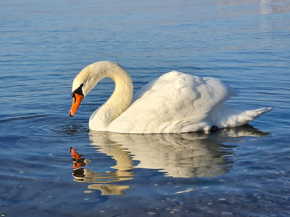 Photograph by Лариса Когтева