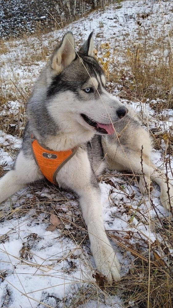 Photograph by Арина