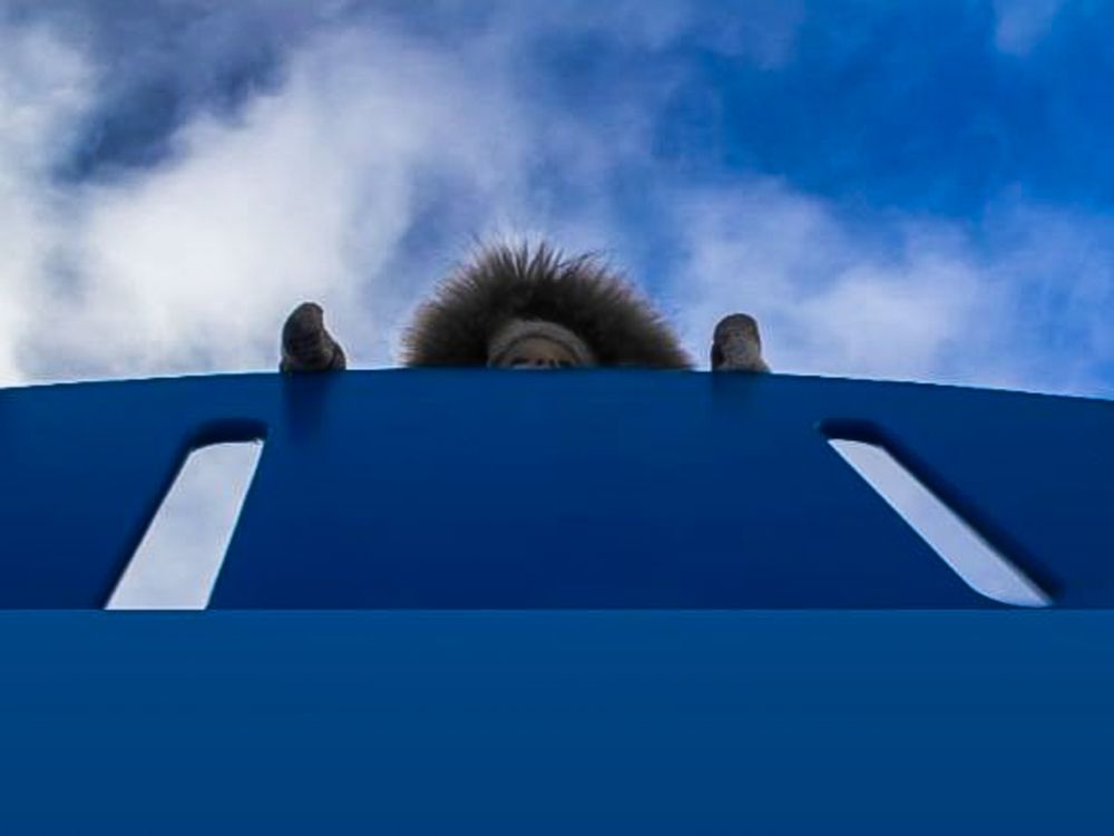 Photograph by Вера Зотова