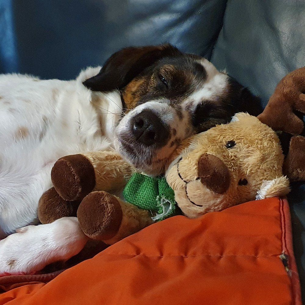 Good friends are always together.