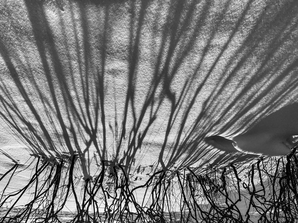 Photograph by Анастасия Ломаева