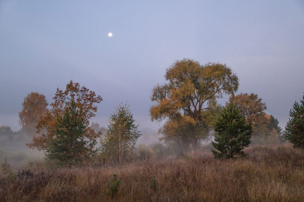 Photograph by Татьяна Кормашова