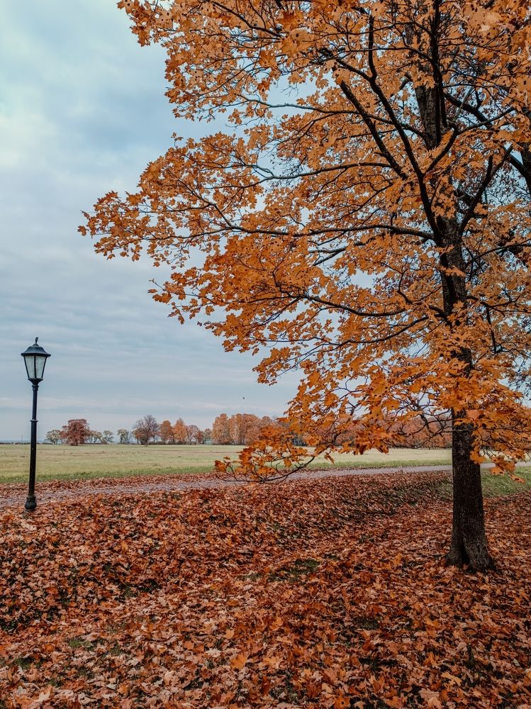 Photograph by Юлия Сайфулина