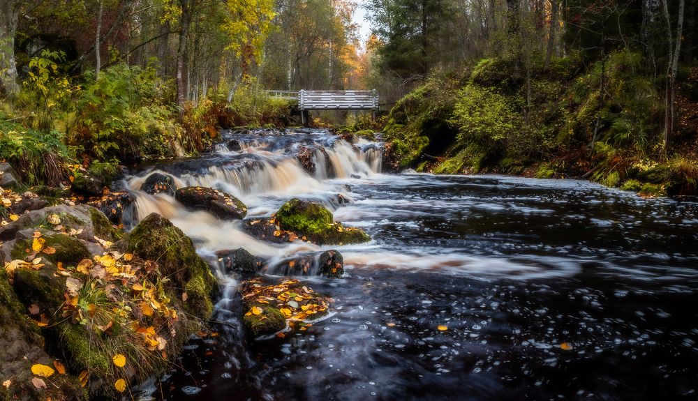 Photograph by Татьяна Кормашова