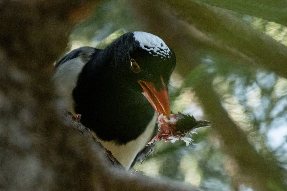 Photograph by Lee Justin Lik Tsz