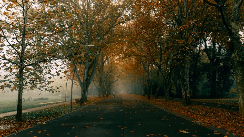 Фотография автора Amir H. Bakhtiari