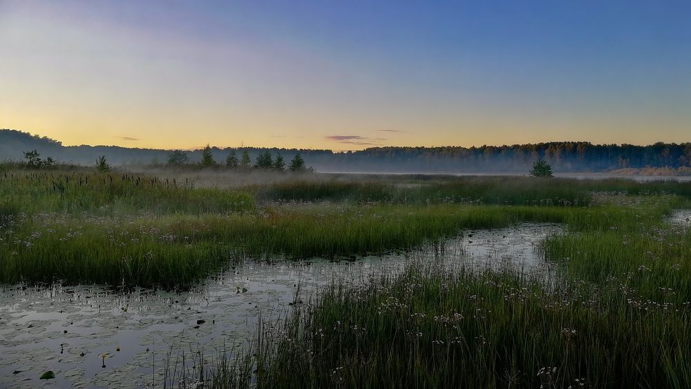 Photograph by Филиппов Олег