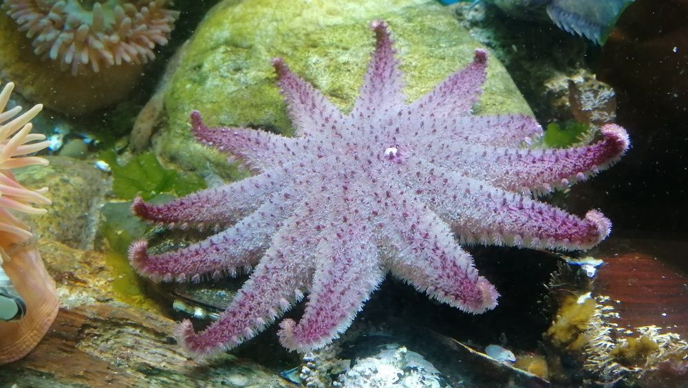 Photograph by Филиппов Олег