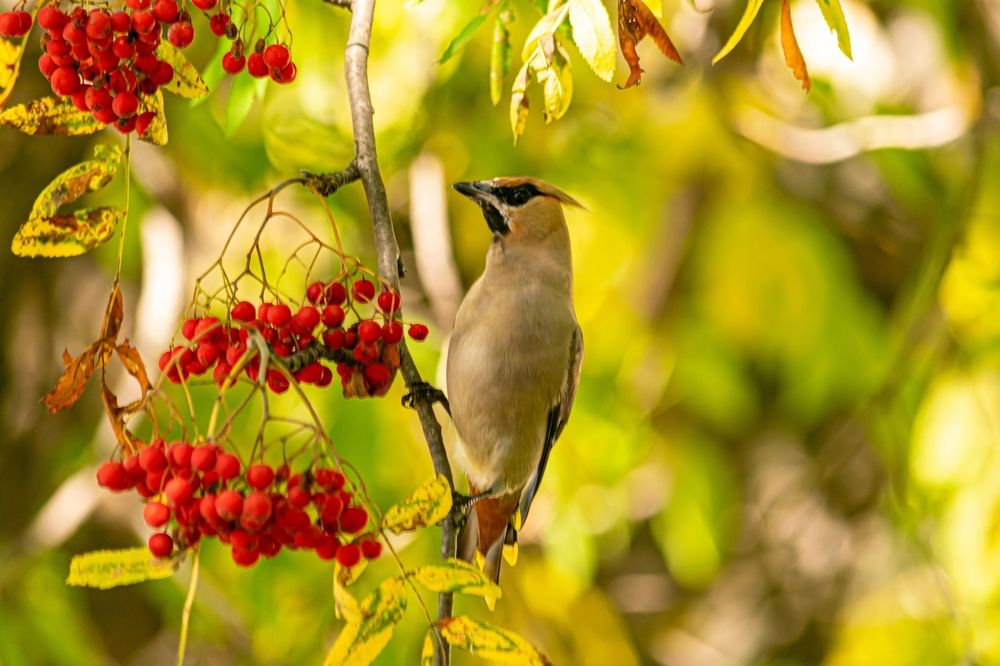 Photograph by Игорь Скорняков