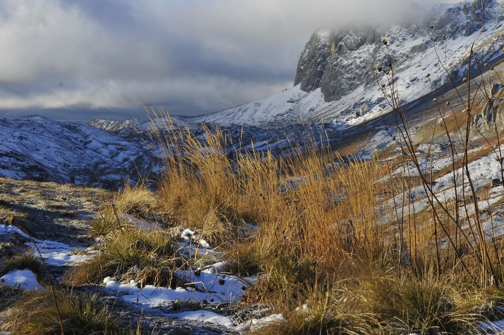 Photograph by Дерезюк Юрий Александрович