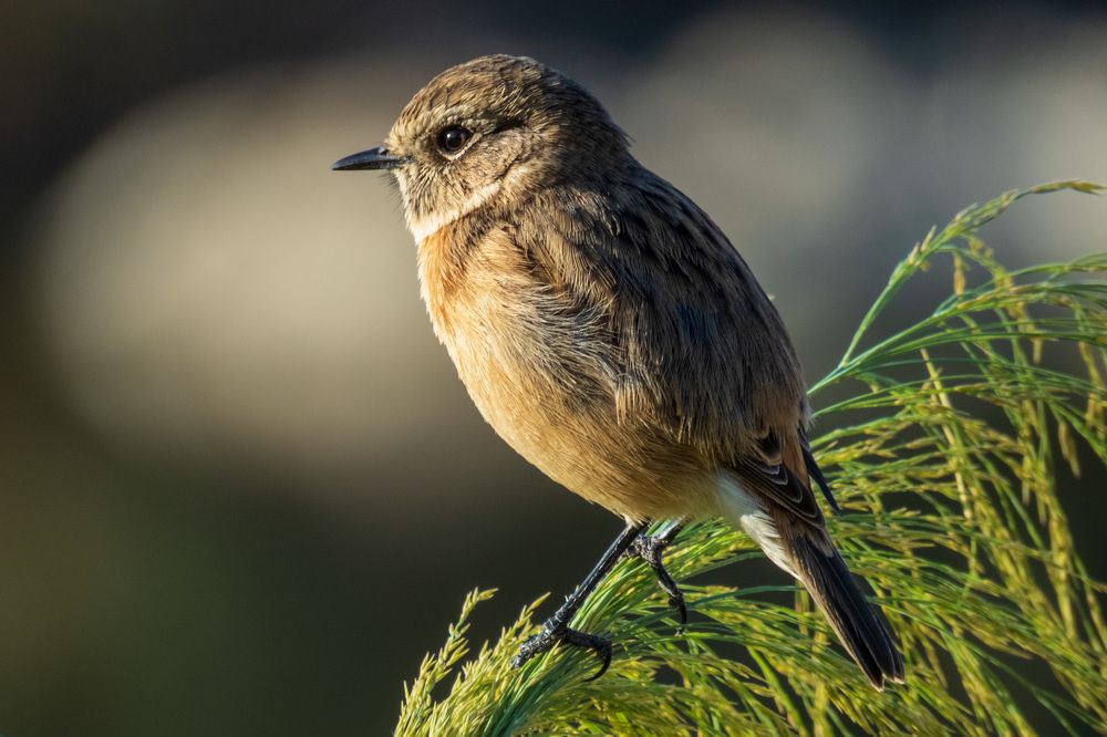 Photograph by sadegh alavi