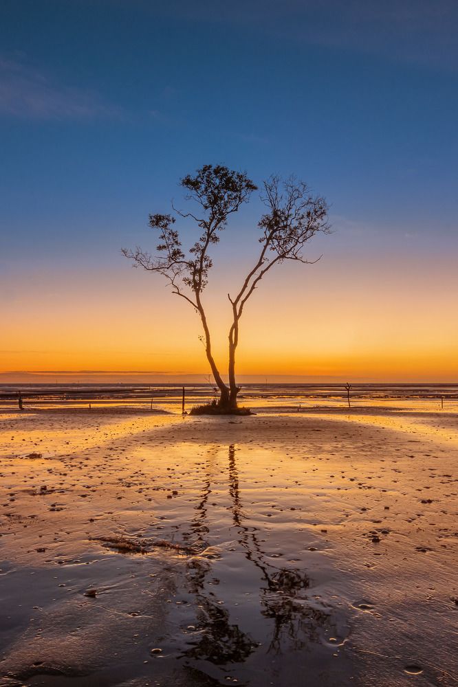 Фотография автора Andy Nguyen