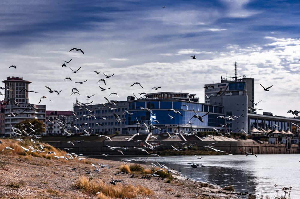 Photograph by Екатерина Кузьмичева