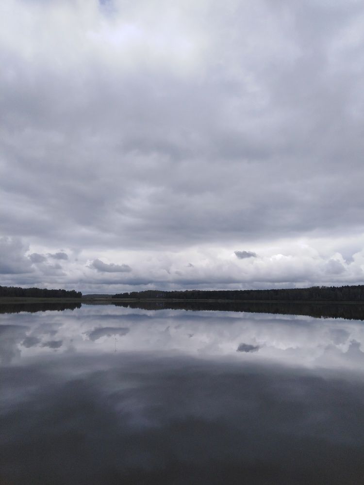 Photo #8294199