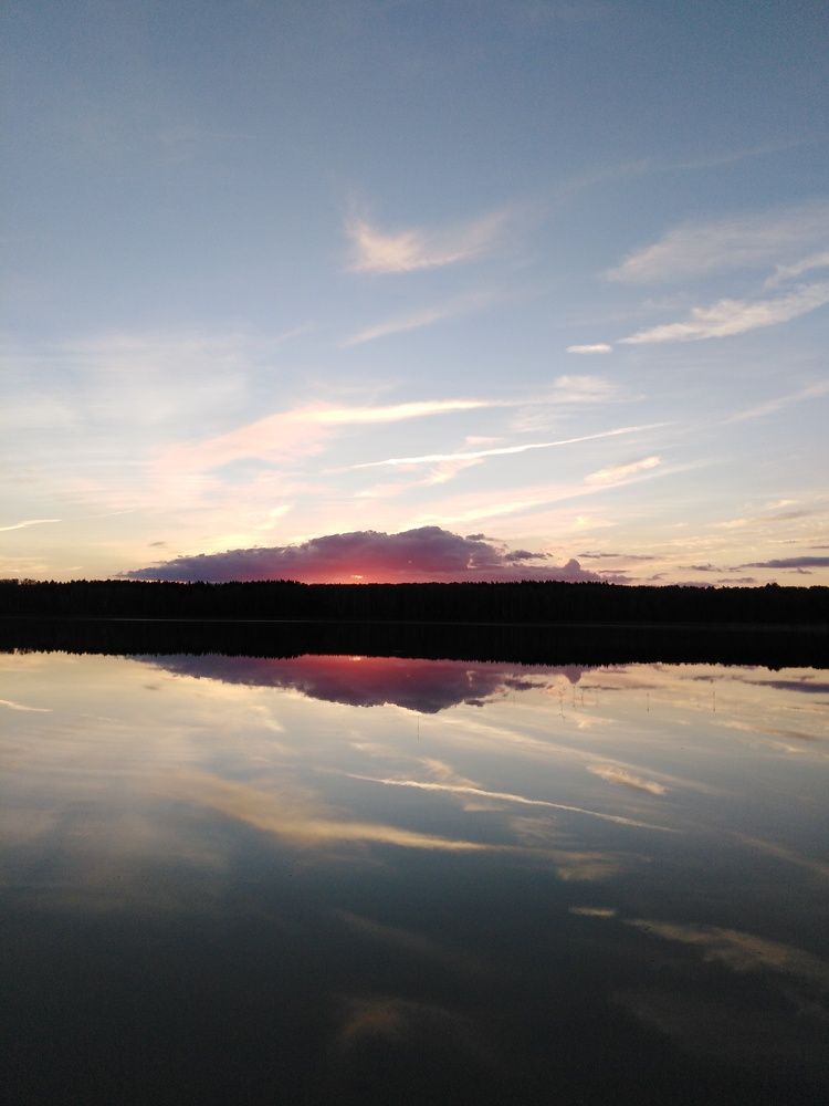 Photo #8294202