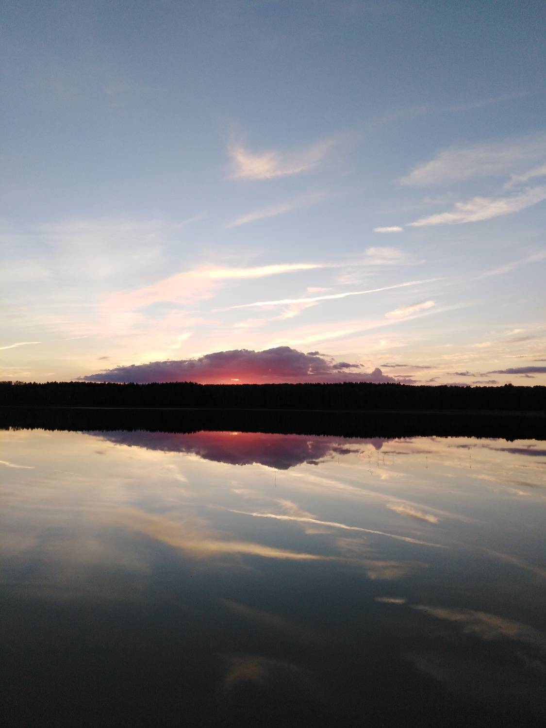 Photo #8294202