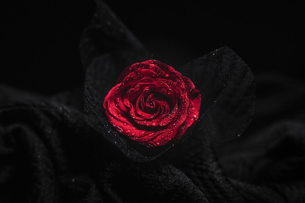 Photograph by 喻 子俊