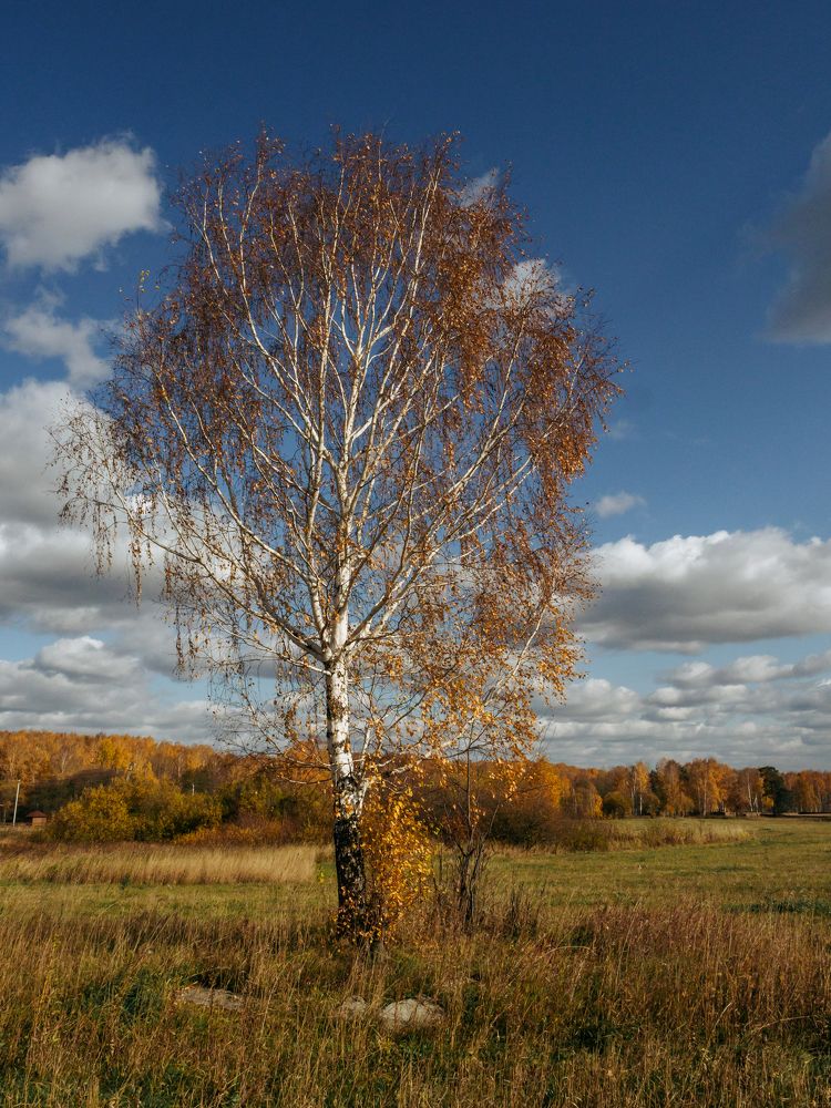Photograph by Sergey Grinev