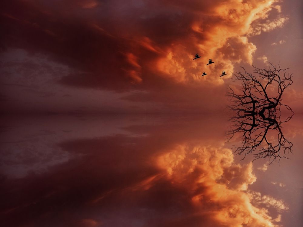 Photograph by Akhoondi Hannaneh