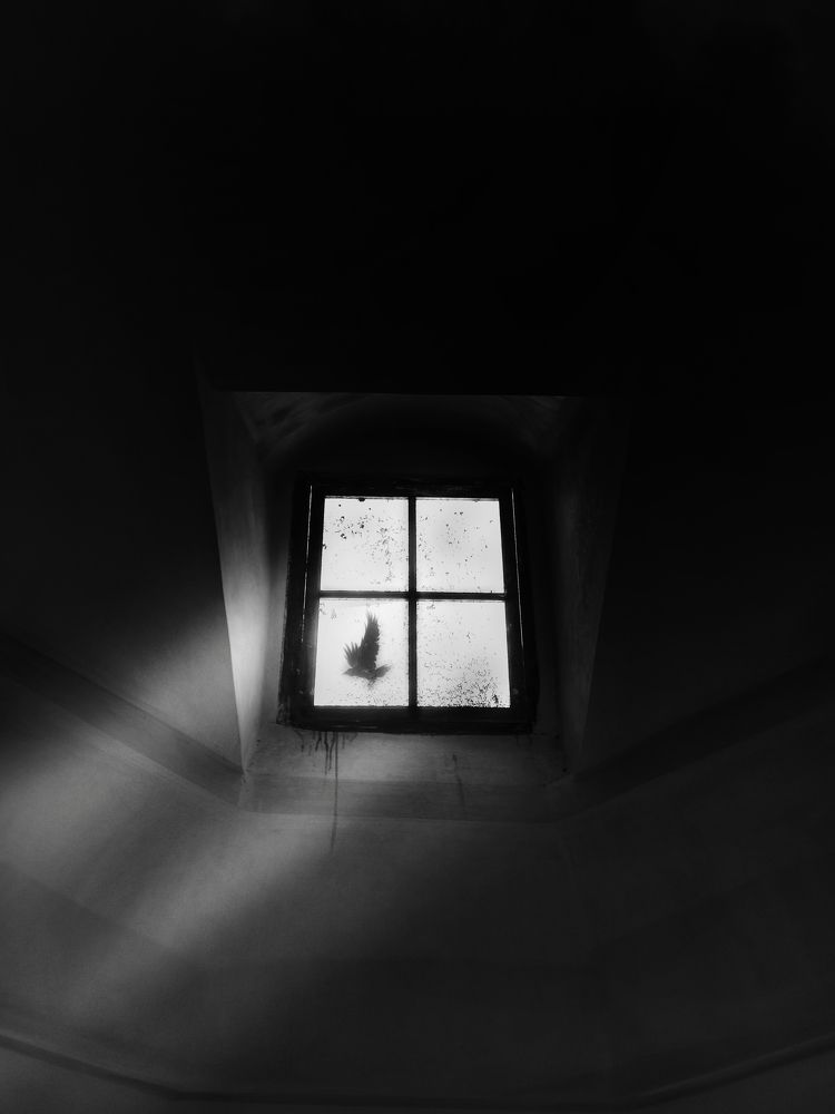 Photograph by Akhoondi Hannaneh