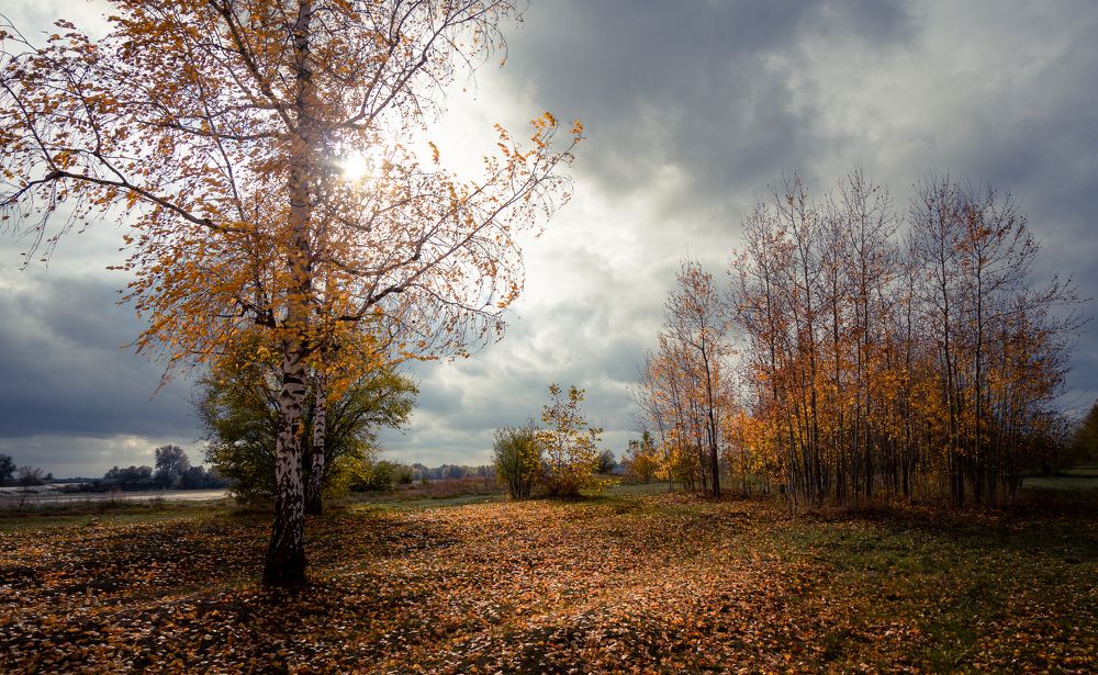 Фотография автора Вадим Коваленко